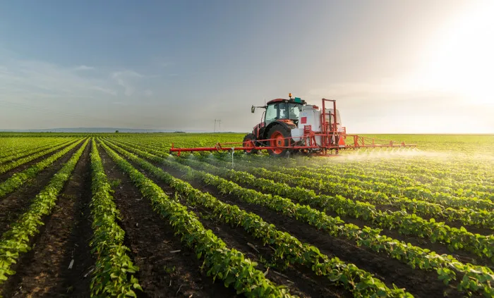 Campo e Agricultura